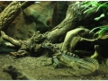 Zoo Barcelona-018