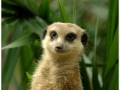 Zoo Barcelona-048